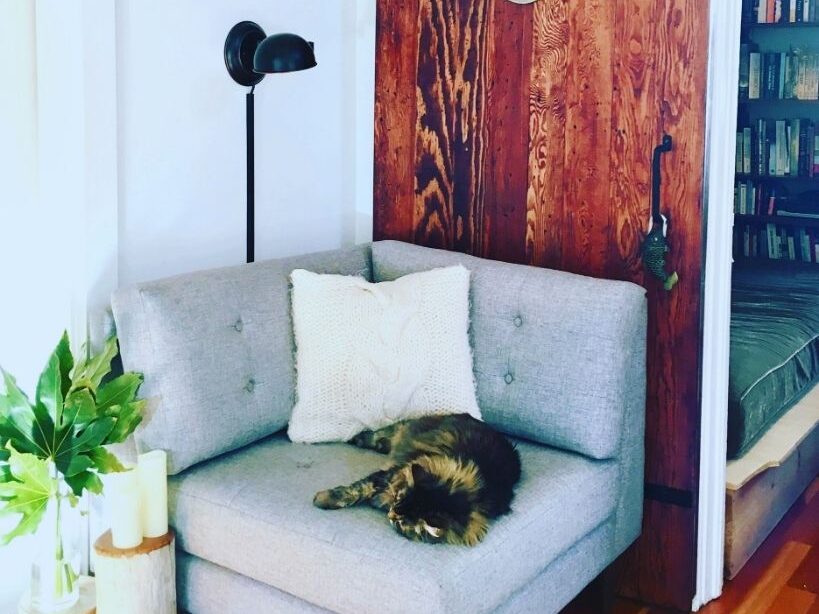 Wohnbereich mit Sofa und Katze in Heidelberg-Emmertsgrund – haushaltsnahe Versorgung und medizinische Dienstleistungen im privaten Umfeld