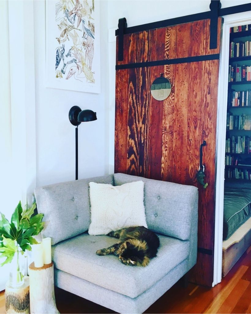 Wohnbereich mit Sofa und Katze in Heidelberg-Emmertsgrund – haushaltsnahe Versorgung und medizinische Dienstleistungen im privaten Umfeld