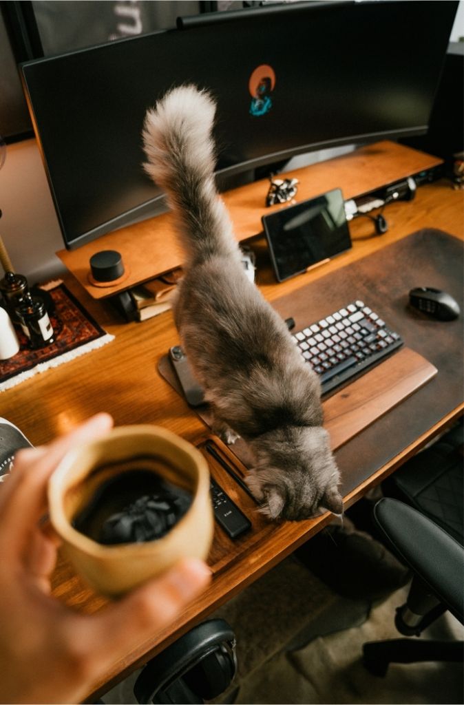 Graue Katze läuft über einen Homeoffice‑Schreibtisch mit Monitor und Kaffeetasse – authentische Szene aus dem tierfreundlichen Arbeitsalltag.
