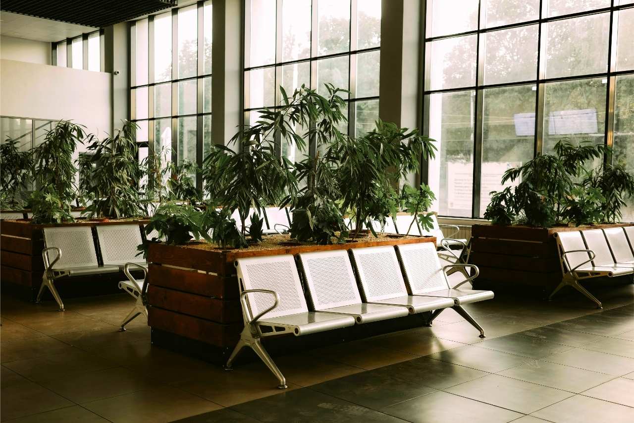 Öffentliche-Bereiche Wartebereich mit Sitzmöbeln und Pflanzen – Gebäudereinigung für öffentliche Einrichtungen mit Fokus auf Hygiene und Besucherkomfort